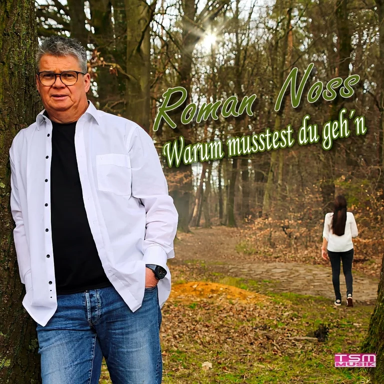 Warum musstest du gehn — Singlecover von Roman Noss
